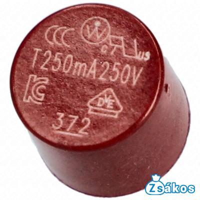 0,25A Biztosíték (eredeti) WHIRLPOOL mikrohullámú sütő fotó