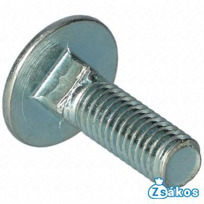 M8x25 mm DIN 603 5,6 Csavar, zárófedél, felfogó, új típusú HAJDU K-s bojler 25db/csomag fotó