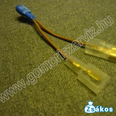 Zelmer 619.0148 Porszívó Biztosíték Wodnik 619 fotó